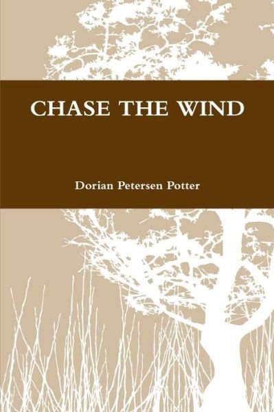 Cover for Dorian Petersen Potter · Chase the Wind (Bok) (2012)