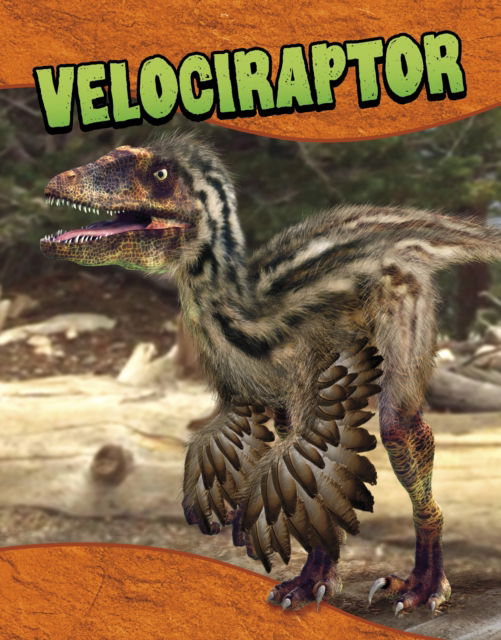 Cover for Laura K. Murray · Velociraptor - Dinosaur Guides (Hardcover Book) (2025)