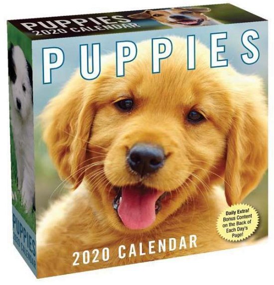Cover for Andrews McMeel Publishing · Puppies 2020 Day-to-Day Calendar (Calendar) (2019)