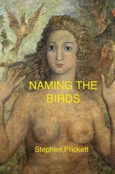 Cover for Stephen Prickett · Naming the Birds: N/a (Paperback Book) (2015)