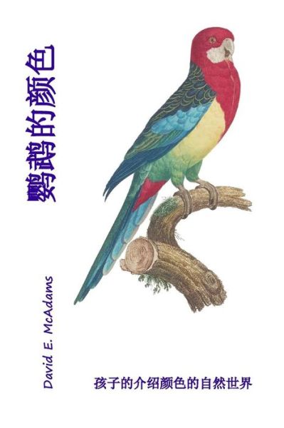 Cover for David E McAdams · Yingwu de Yanse (Paperback Book) (2015)