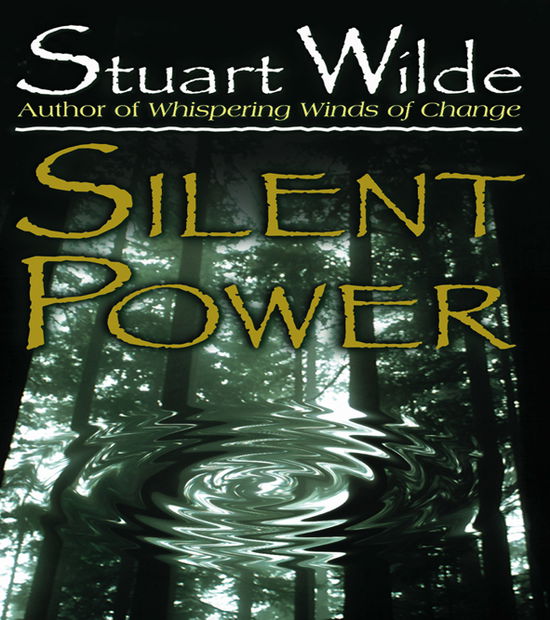 Cover for Stuart Wilde · Silent Power (Paperback Book) (1998)