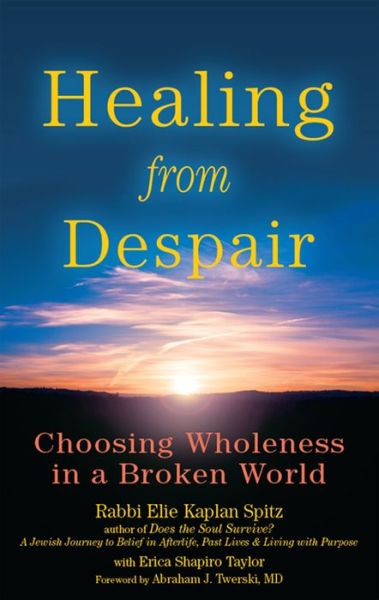 Cover for Rabbi Elie Kaplan Spitz · Healing from Despair: Choosing Wholeness in a Broken World (Paperback Book) (2010)