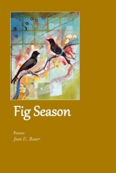 Cover for Joan E. Bauer · Fig Season (Book) (2023)