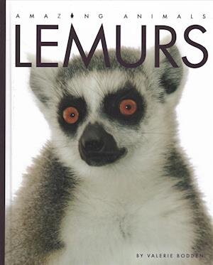 Cover for Valerie Bodden · Lemurs (Hardcover bog) (2019)