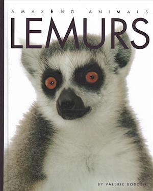 Lemurs - Valerie Bodden - Books - Creative Education and Creative Paperbac - 9781640260368 - January 15, 2019