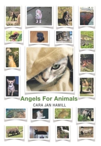 Cover for Cara Jan Hamill · Angels for Animals (Hardcover Book) (2021)