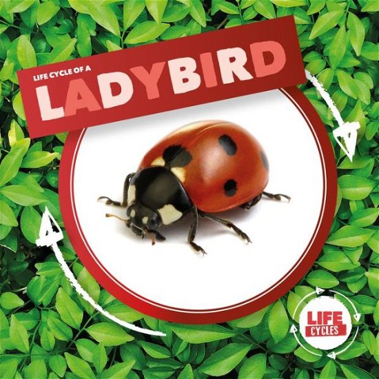 Cover for Kirsty Holmes · Ladybird - Life Cycle Of A (Gebundenes Buch) (2020)