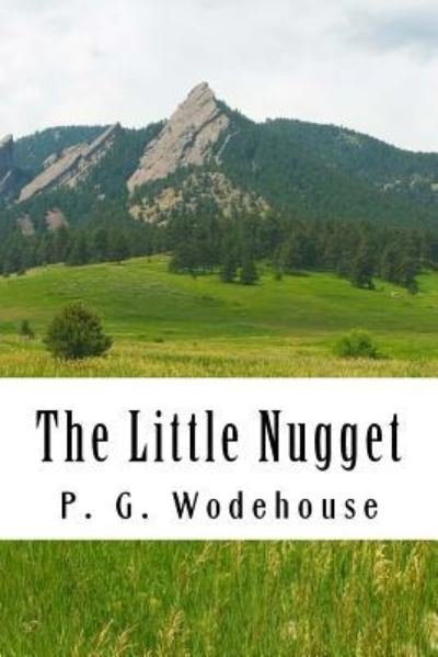 Cover for P. G. Wodehouse · The Little Nugget (Paperback Book) (2018)