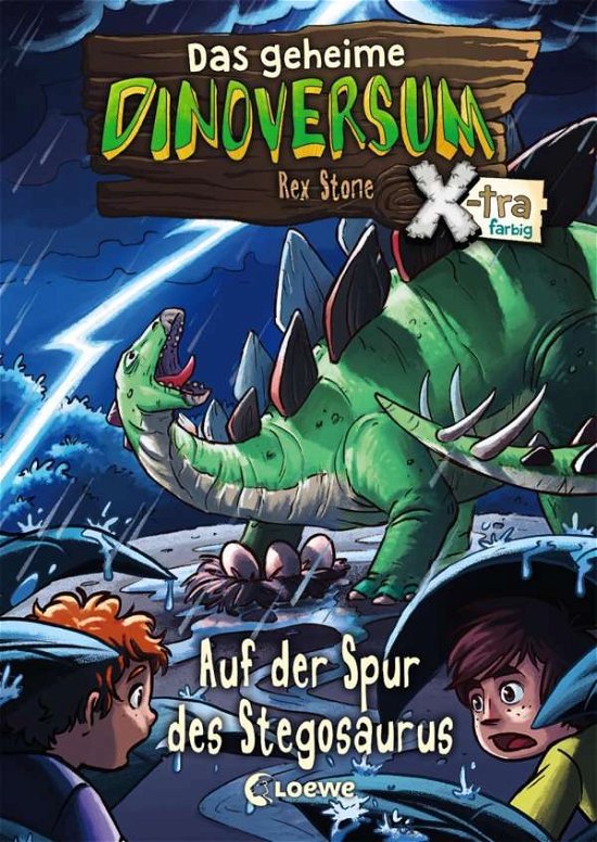 Cover for Stone · Das geheime Dinoversum Xtra.7 (Bog)