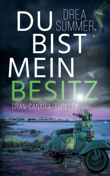 Cover for Summer · Du bist mein Besitz (Buch) (2021)