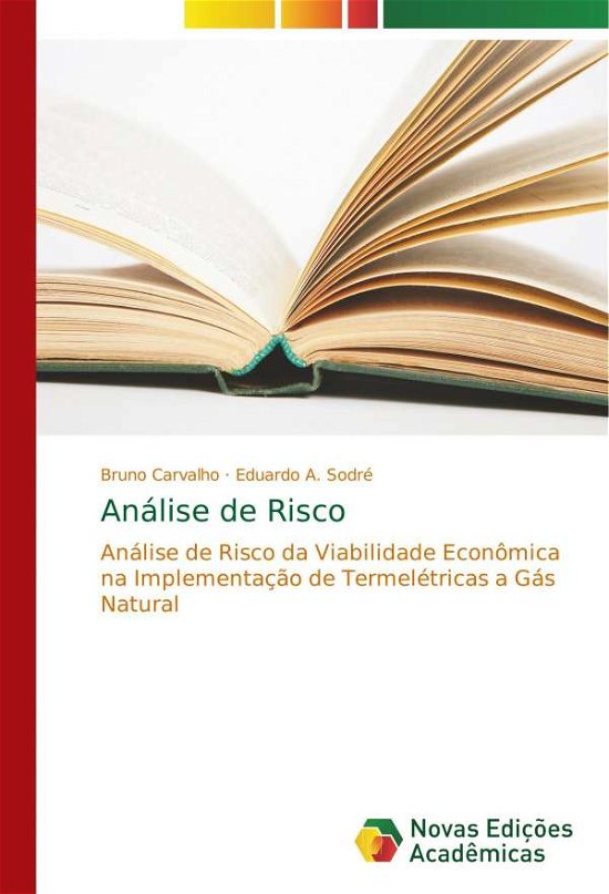 Cover for Carvalho · Análise de Risco (Buch) (2017)