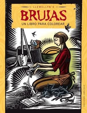 Cover for Llewellyn · Brujas. Un Libro Para Colorear (Paperback Book) (2017)