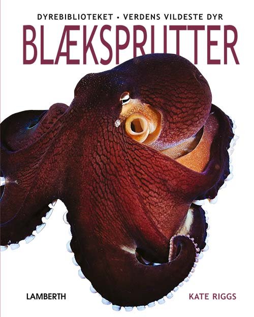 Cover for Kate Riggs · Verdens vildeste dyr: Blæksprutter (Bound Book) [1er édition] (2022)