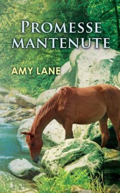 Cover for Amy Lane · Promesse Mantenute (Paperback Book) (2017)