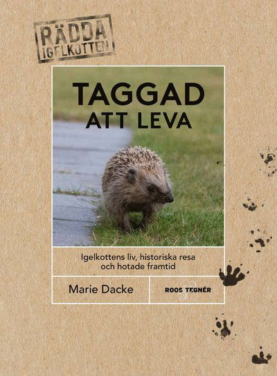 Taggad att leva : igelkottens liv, historiska resa och hotade framtid - Marie Dacke - Books - Roos & Tegner - 9789189215368 - April 6, 2021