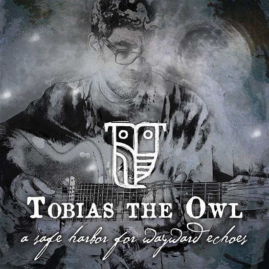 Cover for Tobias The Owl · A Safe Harbor for Wayward Echoes (LP) (2018)