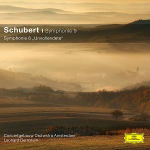 Cover for Rcoa / Bernstein · Sinfonien 8,9 (Cc) (CD) (2011)