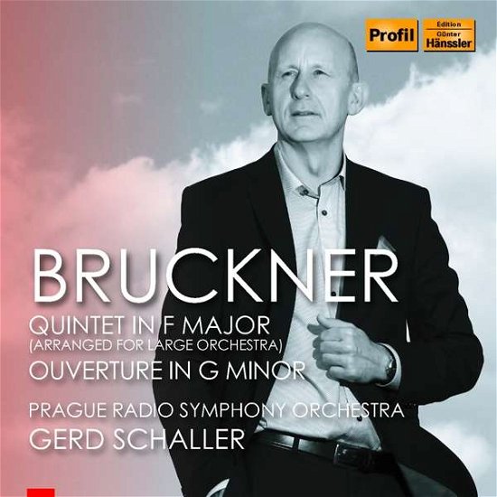 Cover for Anton Bruckner · Quintet in F Major for Large (CD) (2018)