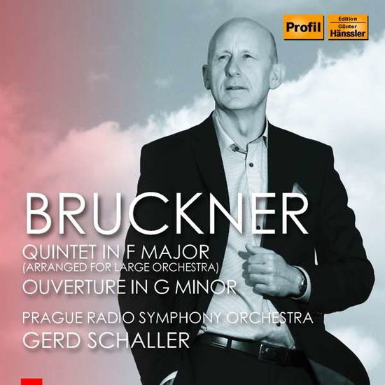 Quintet in F Major for Large - Anton Bruckner - Muziek - PROFIL - 0881488160369 - 14 september 2018