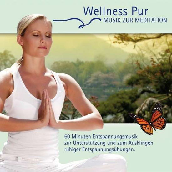 Musik Zur Meditation - Wellness Pur - Musik - MSKAR - 4012897210369 - 15 augusti 2013