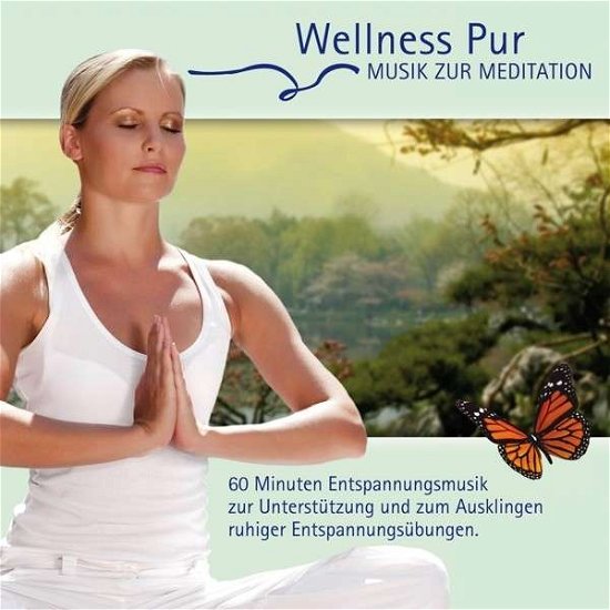 Cover for Wellness Pur · Musik Zur Meditation (CD) (2013)