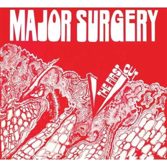 Cover for Major Surgery · The First Cut (CD) (2013)