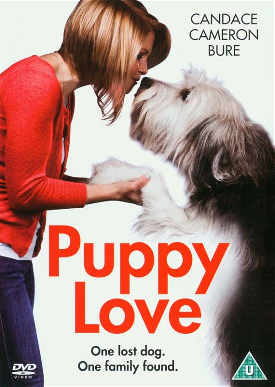 Cover for Puppy Love (DVD) (2014)