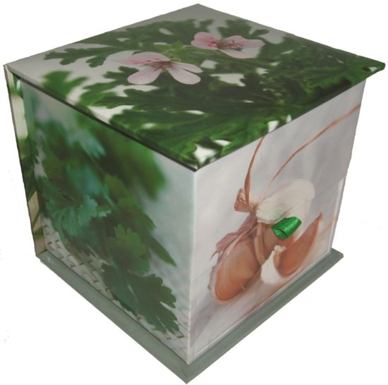Memo Block: Herbs - Peony Press - Livros - Anness Publishing - 9780754820369 - 10 de dezembro de 2015