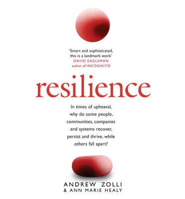 Resilience: Why Things Bounce Back - Andrew Zolli - Books - Headline Publishing Group - 9780755360369 - April 11, 2013