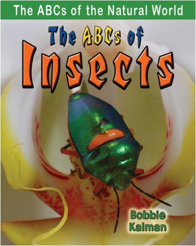 The ABCs of Insects - ABCs of the Natural World - Kalman Bobbie - Books - Crabtree Publishing Co,Canada - 9780778734369 - July 1, 2009