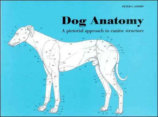 Dog Anatomy: A Pictorial Approach to Canine Structure - Peter Goody - Books - The Crowood Press Ltd - 9780851316369 - September 1, 1999