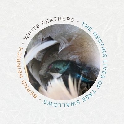 Cover for Bernd Heinrich · White Feathers The Nesting Lives of Tree Swallows; Library Edition (CD) (2020)