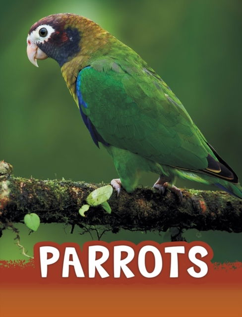 Parrots - Mari Schuh - Other - Capstone Global Library - 9781398221369 - 