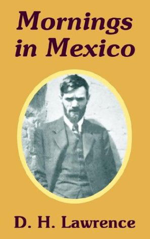 Mornings in Mexico - D H Lawrence - Kirjat - Fredonia Books (NL) - 9781410103369 - lauantai 9. elokuuta 2003