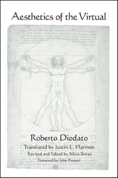 Cover for Roberto Diodato · Aesthetics of the Virtual (Paperback Book) (2013)