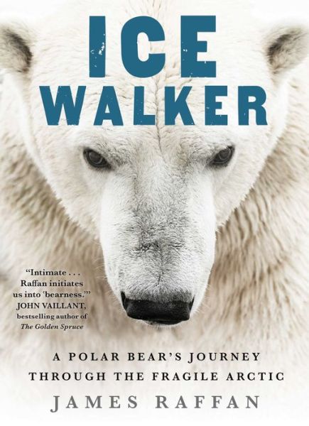 Cover for James Raffan · Ice Walker: A Polar Bear's Journey through the Fragile Arctic (Hardcover Book) (2020)