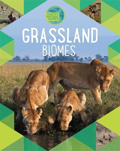 Cover for Louise Spilsbury · Earth's Natural Biomes: Grassland - Earth's Natural Biomes (Paperback Book) (2019)