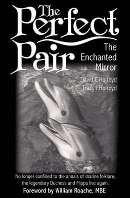 The Perfect Pair: The Enchanted Mirror - David C Holroyd - Livros - Troubador Publishing - 9781780882369 - 1 de setembro de 2012