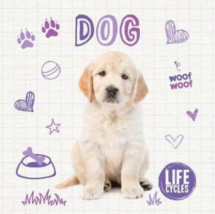 Dog - Life Cycles - Holly Duhig - Bøker - BookLife Publishing - 9781786372369 - 29. desember 2017