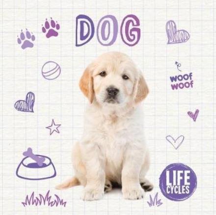 Cover for Holly Duhig · Dog - Life Cycles (Inbunden Bok) (2017)
