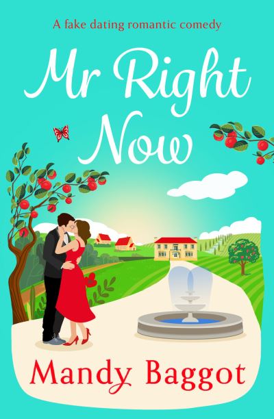 Cover for Mandy Baggot · Mr Right Now: An uplifting, heart-warming read from top 20 bestseller Mandy Baggot for summer 2024 (Hardcover Book) (2024)