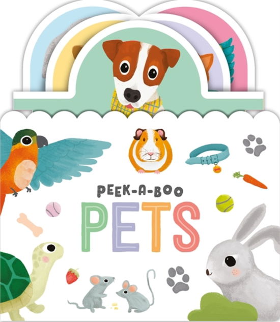 Cover for Igloo Books Ltd · Peek-a-boo Pets - Amazing World Sliding Tabs (Board book) (2020)