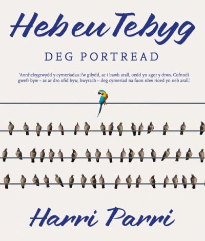 Cover for Harri Parri · Heb eu Tebyg (Paperback Book) (2021)