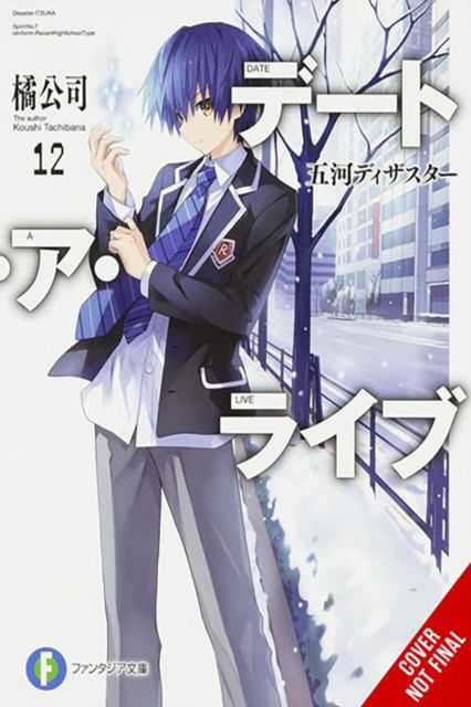 Cover for Koushi Tachibana · Date A Live, Vol. 12 (light novel) - DATE A LIVE LIGHT NOVEL SC (Paperback Book) (2024)