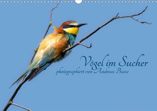 Cover for Basse · Vögel im Sucher (Wandkalender 202 (Book)