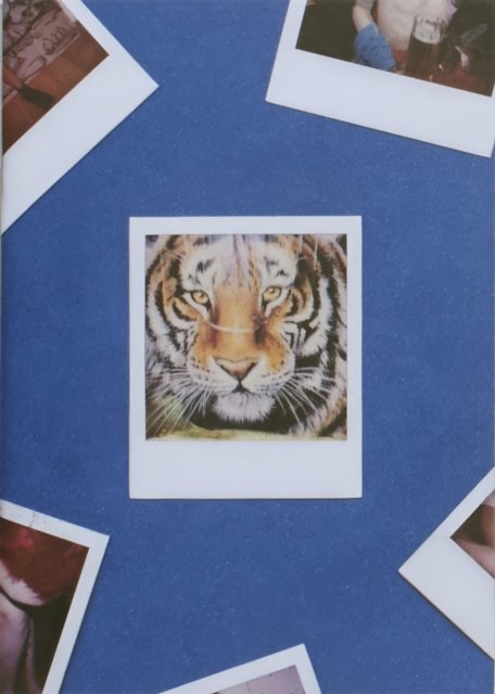 Tiger (Paperback Book) (2014)