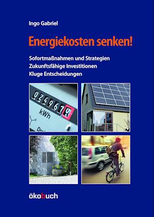 Cover for Ingo Gabriel · Energiekosten senken! (Book) (2023)