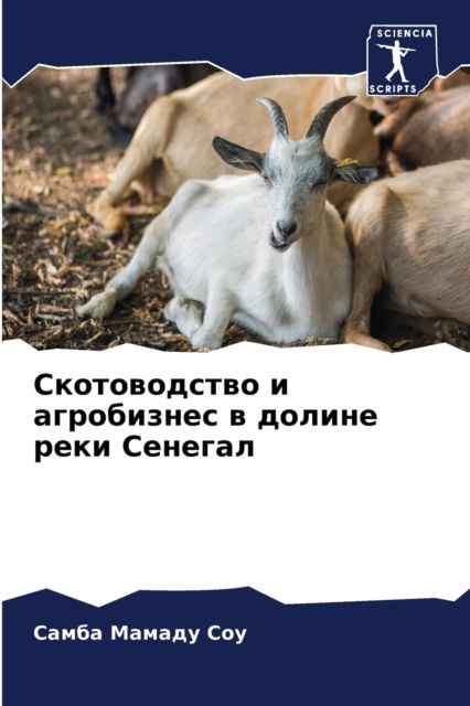 Cover for ????? ?????? ??? · ???????????? ? ?????????? ? ?????? ???? ?k (Paperback Book) (2021)