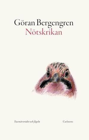 Cover for Göran Bergengren · Nötskrikan : tusenårsträdet och fågeln (Innbunden bok) (2022)